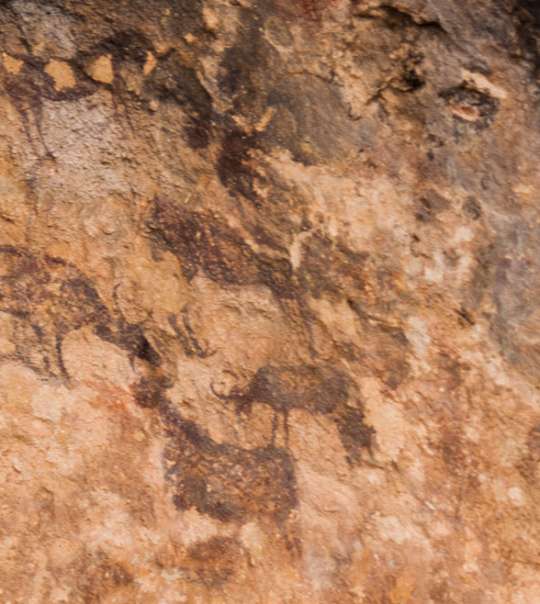 Visitas Arqueología