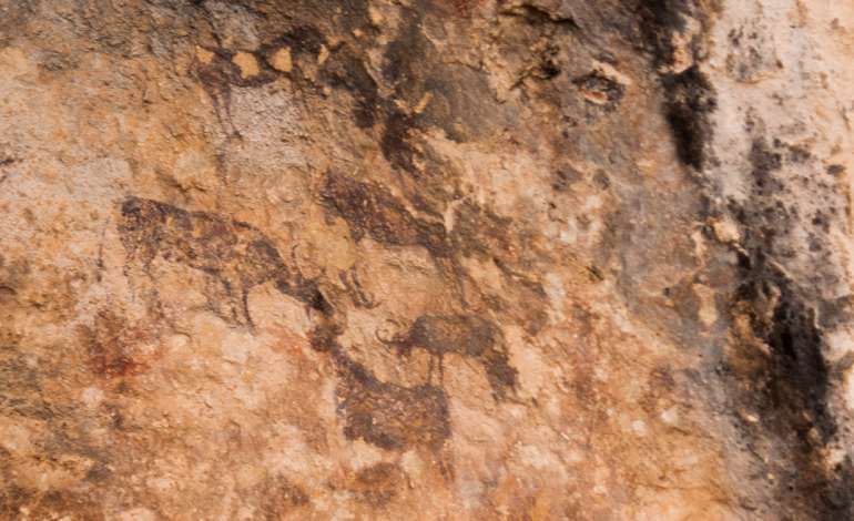 Visitas Arqueología
