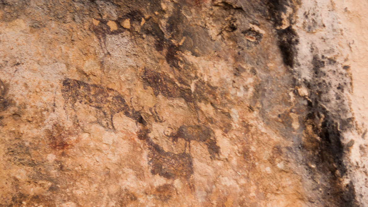 Visitas Arqueología